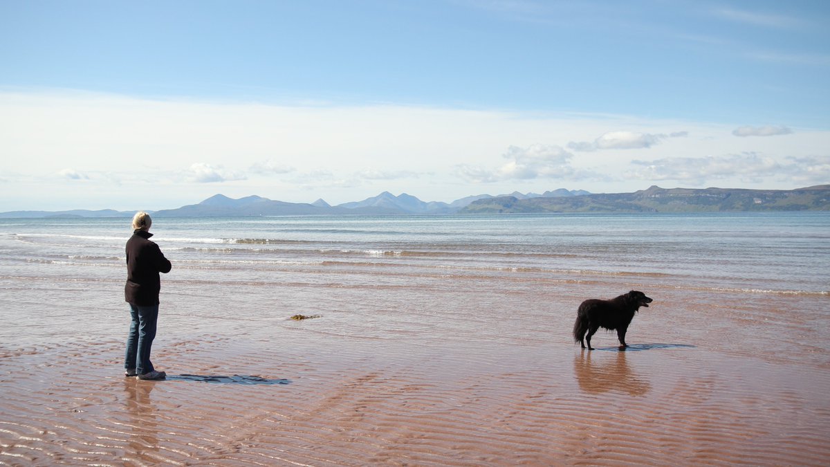 Paul Aplin OBE tweet media