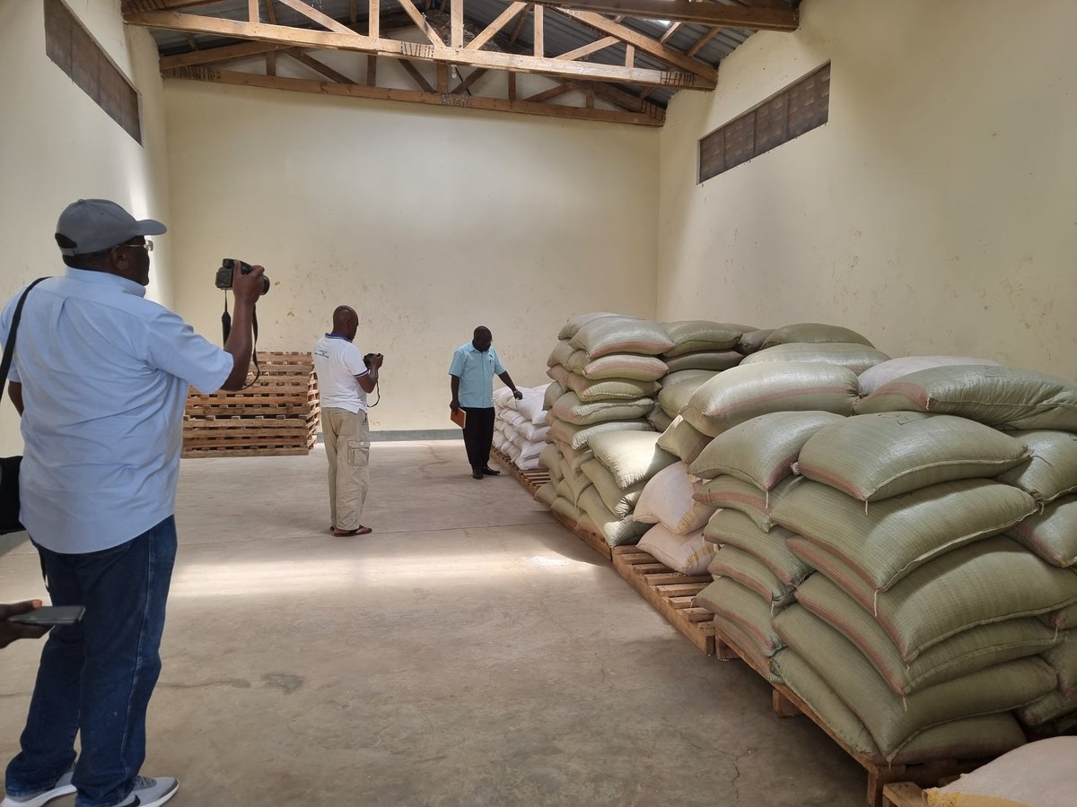 SAA_Uganda's tweet photo. Farmer groups bulked 39 metrix tonnes last season. After selling, 8mt of maize & 3.8mt of beans are remaining buy will soon be taken.
#bulking #collectiveaction #qualitygrain https://t.co/8RHjhzj514