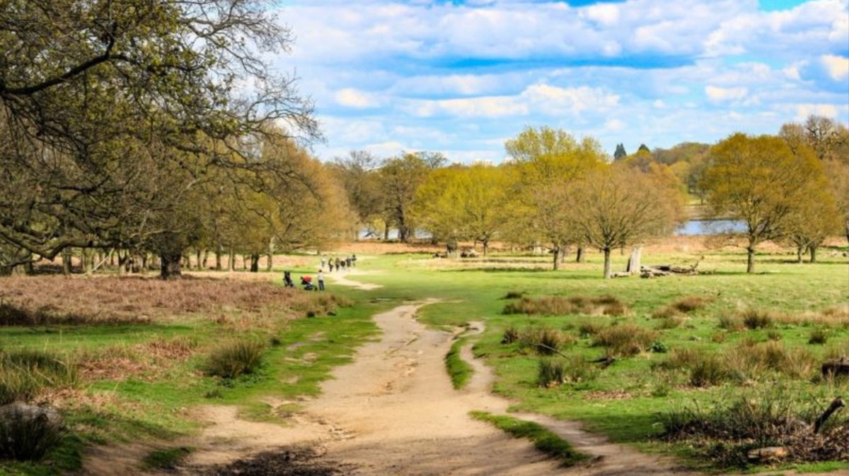 rb_mind's tweet photo. Join Peter for a guided walk in Richmond Park!
Meet at Richmond Park Gate at 2pm. Refreshments afterwards at Pembroke Lodge.
To sign up please email carers@rbmind.org or call 020 8940 7384.
#CarersWeek2022 #RichmondPark #WalkandTalk #MentalHealth #RBMind https://t.co/bqX91y6xYM