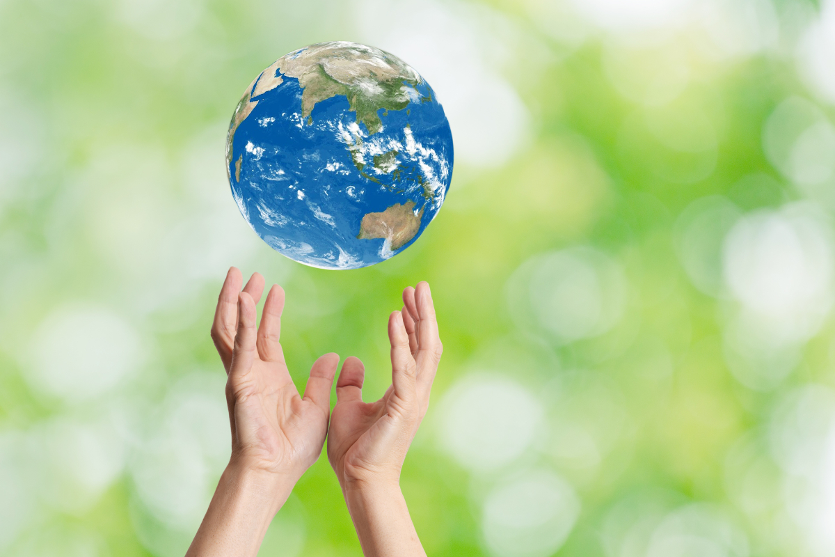 glasgowcityinno's tweet photo. .@KSBScotland are offering Climate Emergency Training to help upskill Scotland’s workforce with the knowledge required to move towards a net zero society.

Find out more: https://t.co/JIgeELF3Pj https://t.co/aRgPlyQ631