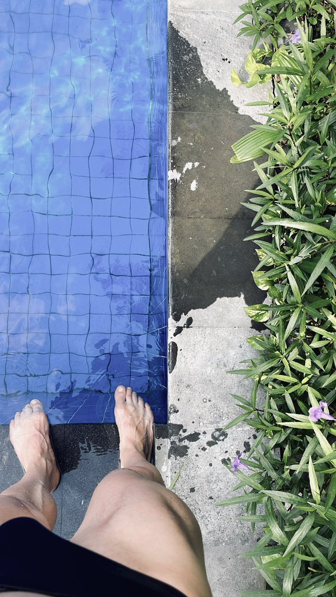 Jaimie Sortino tweet media