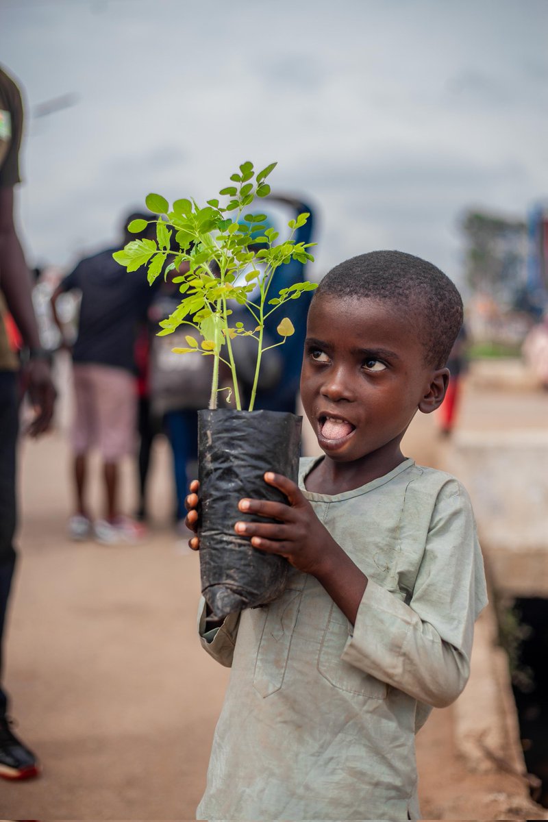 Treasure your Ideas, for they are like seeds that germinate in your mind. They Root, Shoot, and Fruit into Concepts & Creativity that are beyond Imagination. Plant a tree today to save the enviroment @UNEP @UNVolunteers @UnitedNationsTZ @bbcnews @who @unicef @UNICEF_Nigeria