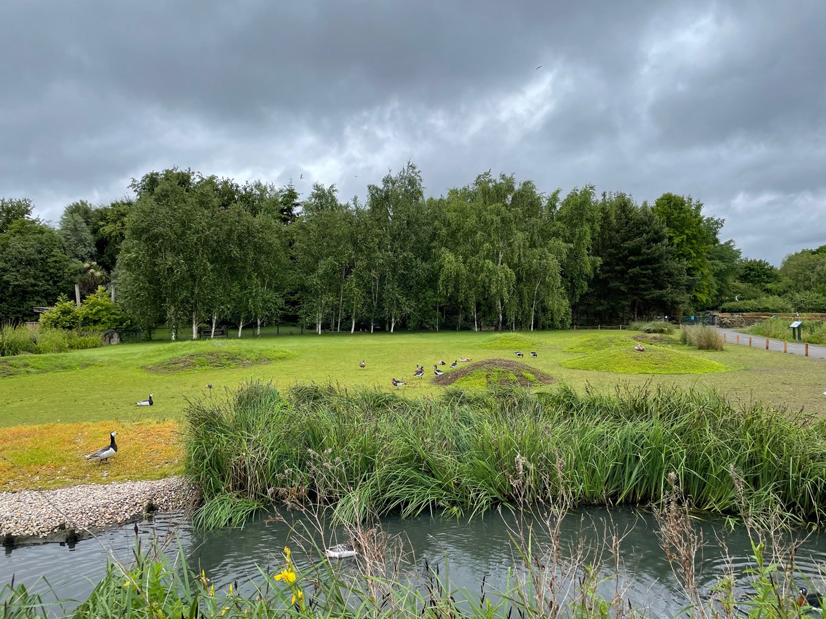 SciencesSCHS's tweet photo. U4 trip to the @WWTLondon #birdtime #ecology #biology #geography #STEMeducation https://t.co/CRa9jEVAjt