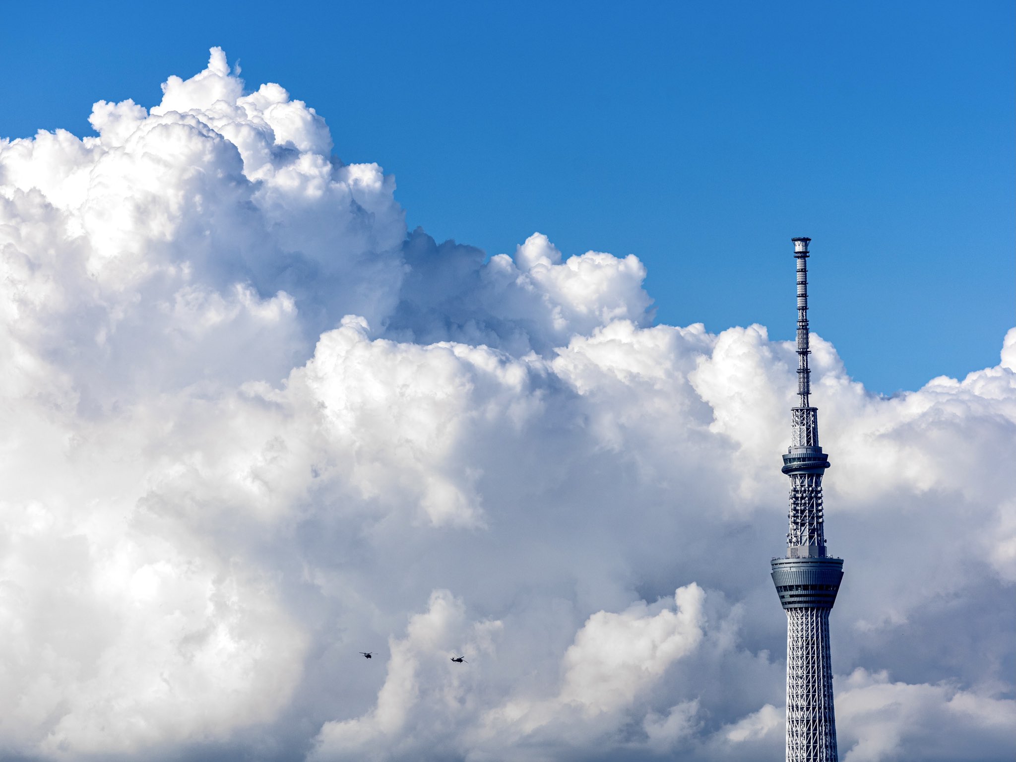 Kazumasa Nakajima 夏雲とスカイツリーと小蠅みたいな T Co 7vokh6whdz Twitter Kazumasa Nakajima 夏雲とスカイツリーと小蠅みたいな T Co 7vokh6whdz Twitter