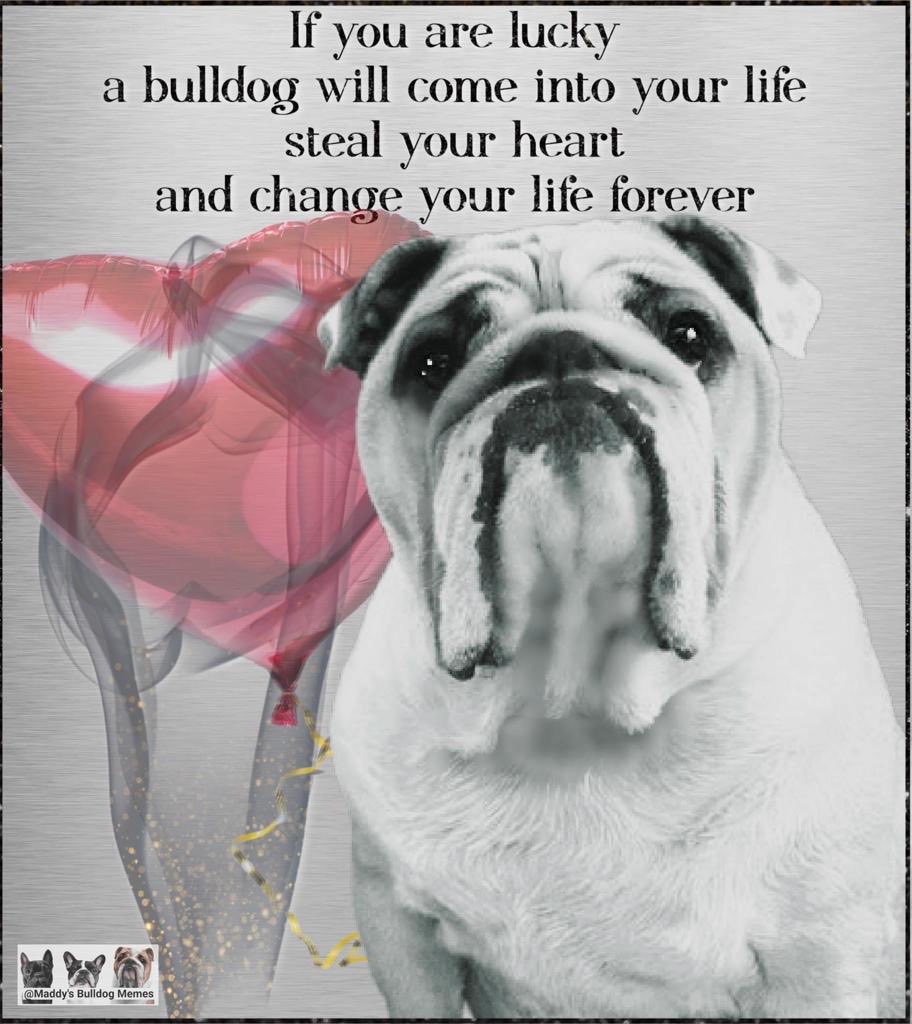 MillynGeorge (@millyngeorge) on Twitter photo 