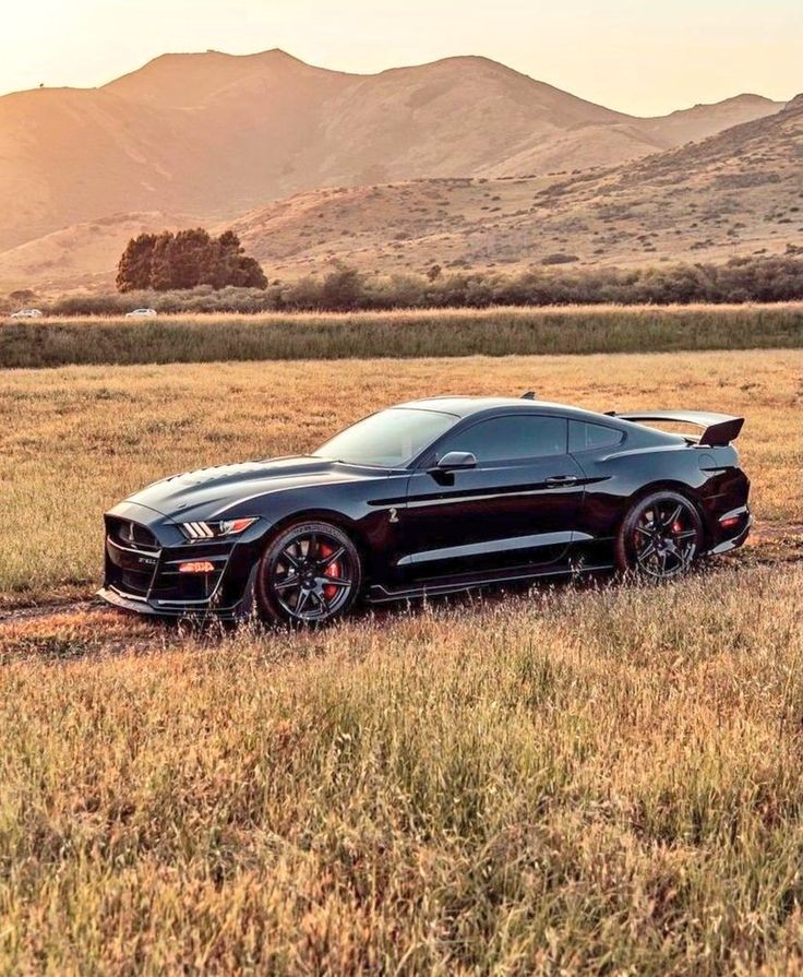Taliadu34's tweet photo. #MustangMonday https://t.co/ifmCss7BOS