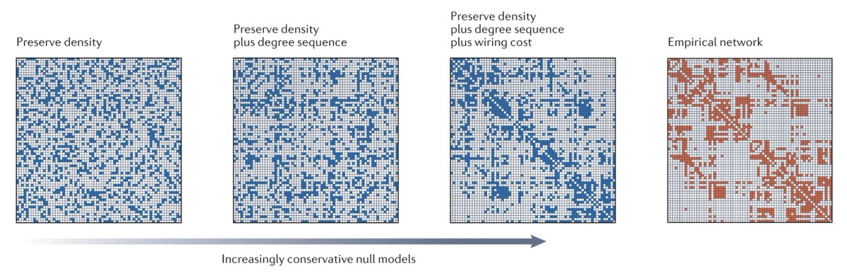 František Váša (@frantisekvasa) on Twitter photo Null models in network neuroscience <a href="/NatRevNeurosci/">Nature Rev Neurosci</a> w/ <a href="/misicbata/">Bratislav Misic</a> | nature.com/articles/s4158… | Null models help disentangle dependencies between network features, revealing to what extent the presence or magnitude of a feature of interest arises as a consequence of other features. Null models in network neuroscience <a href="/NatRevNeurosci/">Nature Rev Neurosci</a> w/ <a href="/misicbata/">Bratislav Misic</a> | nature.com/articles/s4158… | Null models help disentangle dependencies between network features, revealing to what extent the presence or magnitude of a feature of interest arises as a consequence of other features.