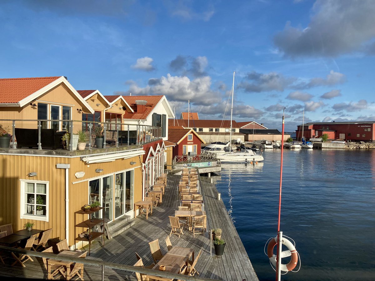 Helen Hölzel tweet media