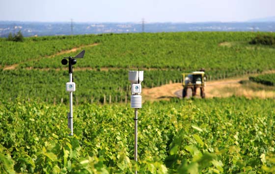 TecnoVino's tweet photo. Hoy en #Demoviña: #estaciones, #sondas y #sensores, las amplias posibilidades que ofrece #Weenat para cuidar el #viñedo - https://t.co/ys7OuOGZpB https://t.co/eoTt0siHzg @weenat_com