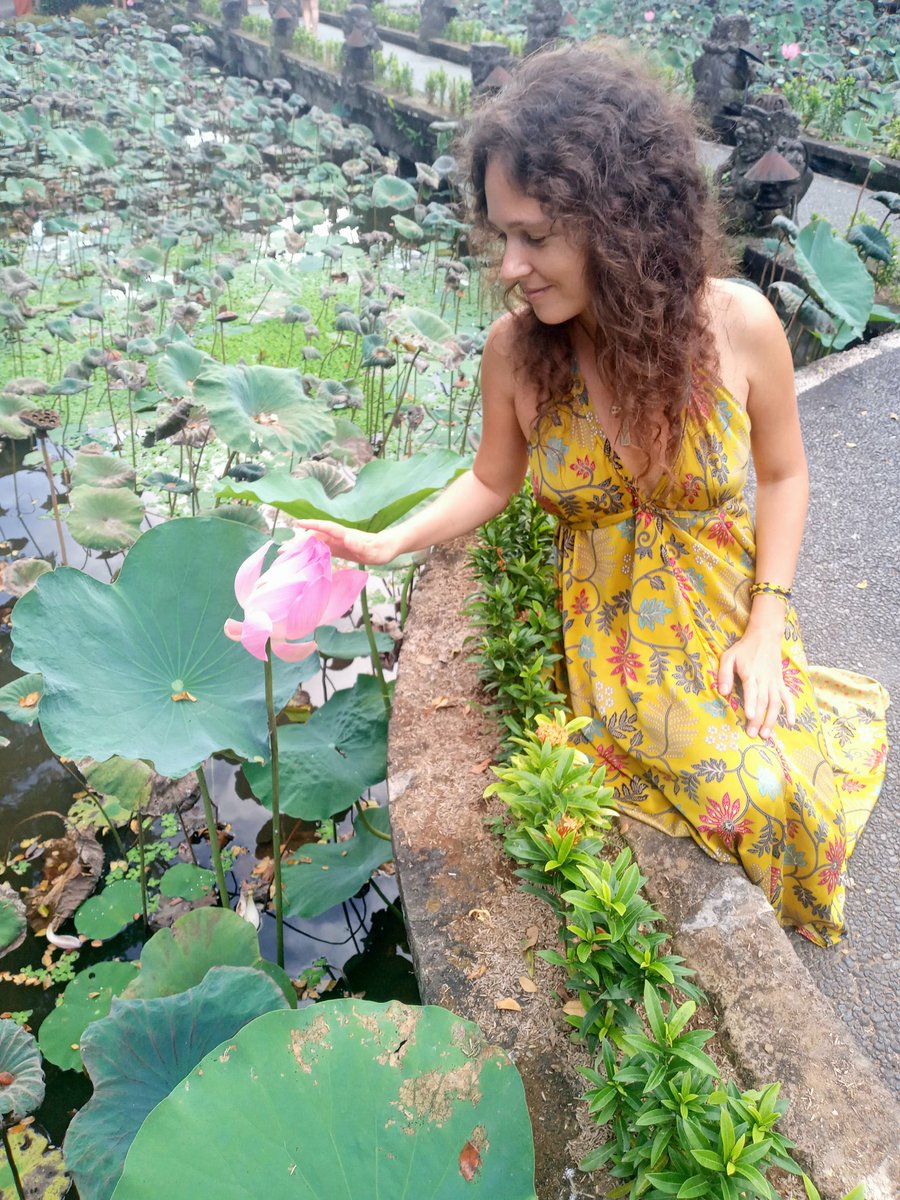 itokashi's tweet photo. My yesterday's lotus trip at Saraswati Temple 🌸 

#SaraswatiTemple #Bali #lotus #AmazementofFractalBeing #itOkashi https://t.co/1zrbn3CU0U