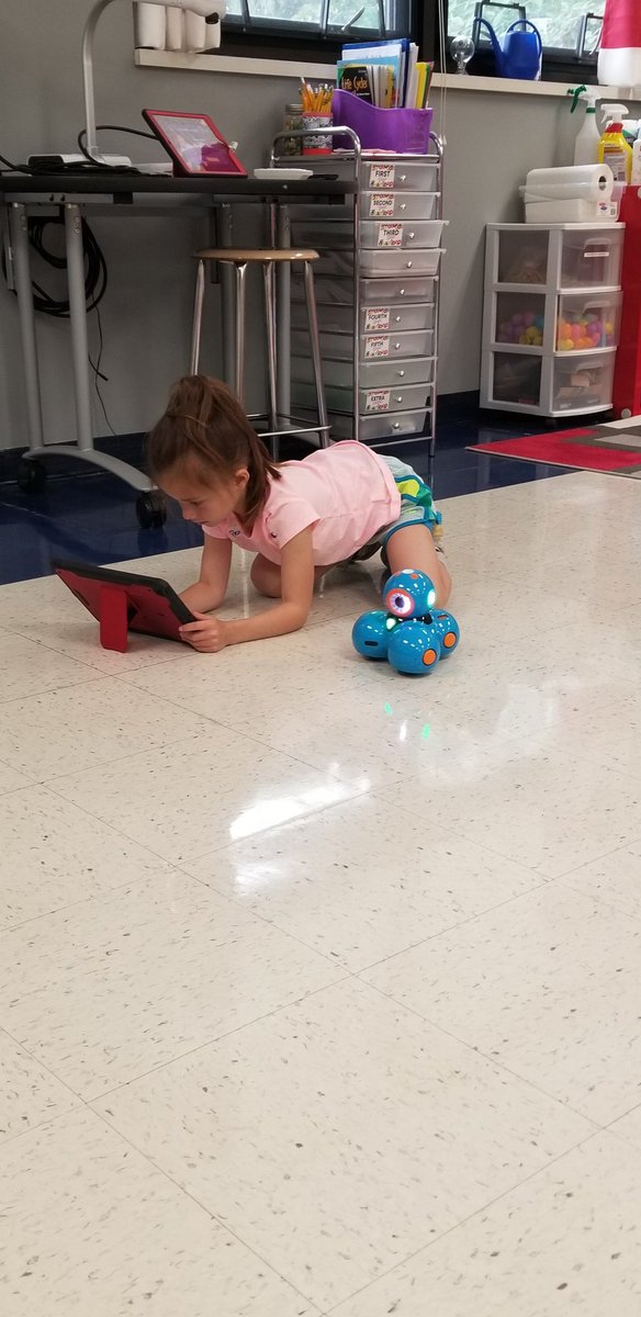 MrsSkubic's tweet photo. Our @VizLowerSchool camps are off to a great start!  @MicheleCMueller @vizmontessori @amyfbischoff #WeAreVizLS #WeAreVizMontessori https://t.co/ul2KbjanBg