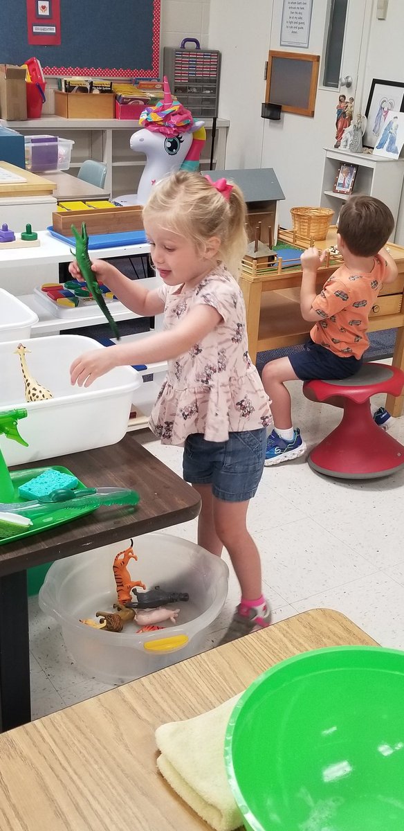 MrsSkubic's tweet photo. Our @VizLowerSchool camps are off to a great start!  @MicheleCMueller @vizmontessori @amyfbischoff #WeAreVizLS #WeAreVizMontessori https://t.co/ul2KbjanBg