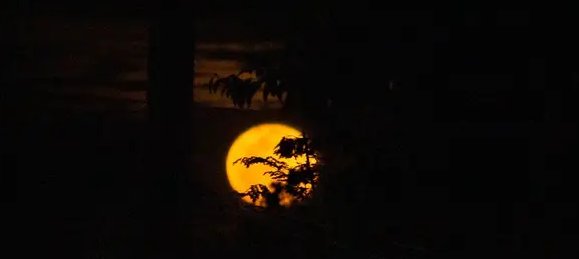 AngelaD79932603's tweet photo. Hiiii lonely pop fam!!!
I'm bedo from Philippines..
Also I'm a student 
My favorite doing is capturing moon or sky and this is the example of that  hehehe hope you like it guyss.;
@LonelyPopNFT https://t.co/H1JHBI7EJ3