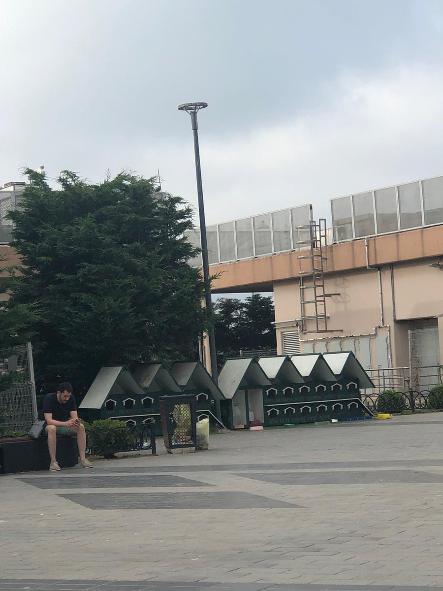 Üsküdar Belediyesi'nin sokak hayvanları için yaptığı yuvalar teşekkür ederiz.<a href="/uskudarbld/">Üsküdar Belediyesi</a> 
#animals
#hayvanlar
#kesfet
#Twitter #uskudar