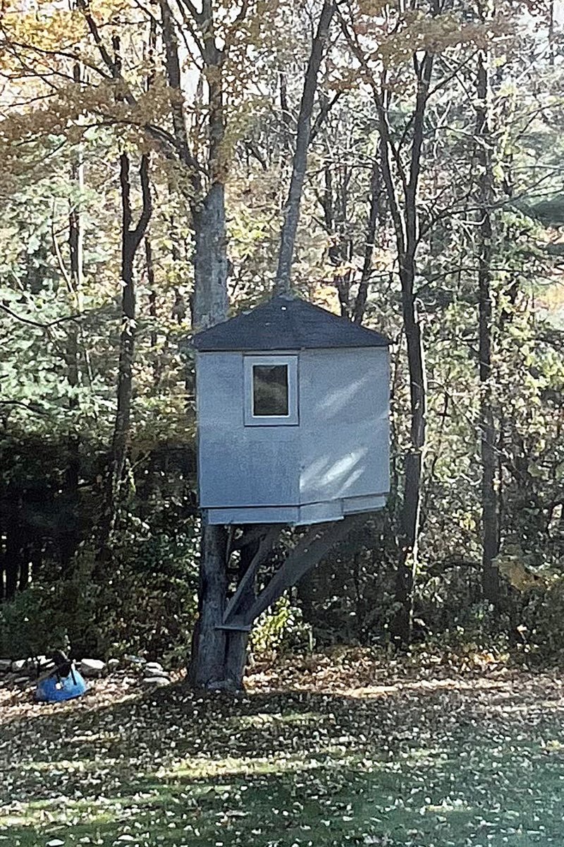 kguzman_author's tweet photo. An ARBORVIEW reader sent me a photo of her own beloved treehouse. It seems my characters aren't the only ones who appreciate the view from the branches. Thank you!!! @WF_Writers @WomenWriters @WildRosePress @CathyCruise1 @fictionattic https://t.co/VF1z1yHL1r