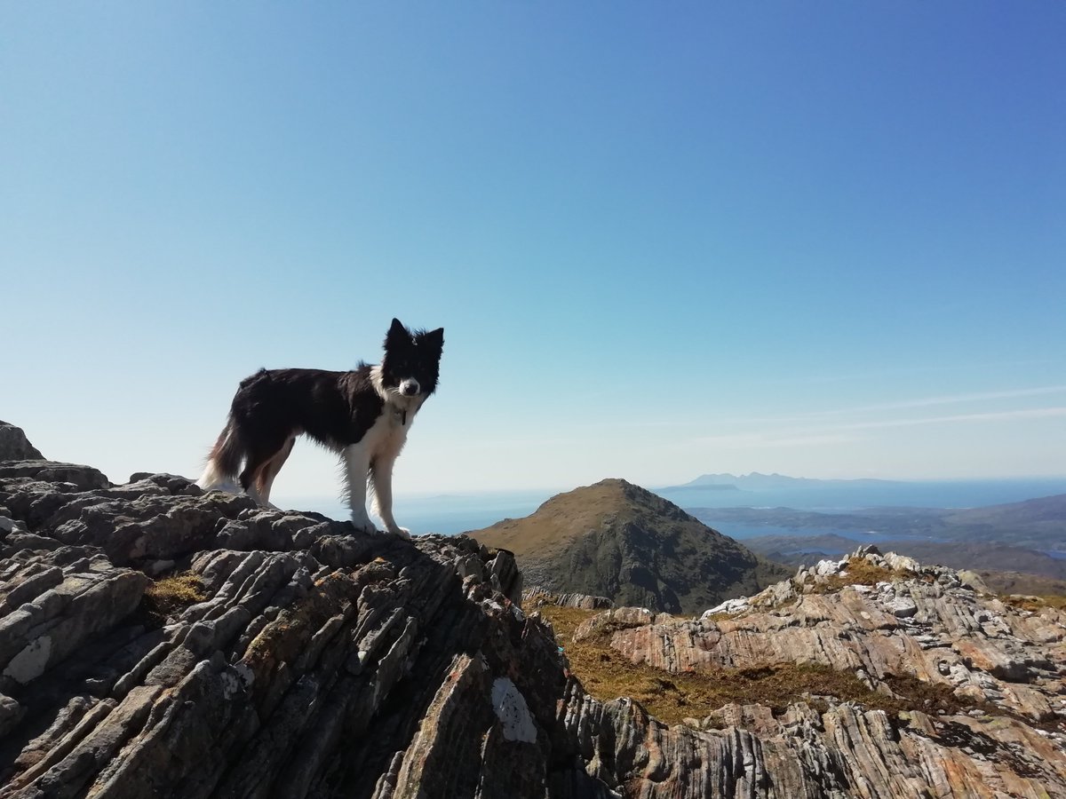 Robert Wight tweet media