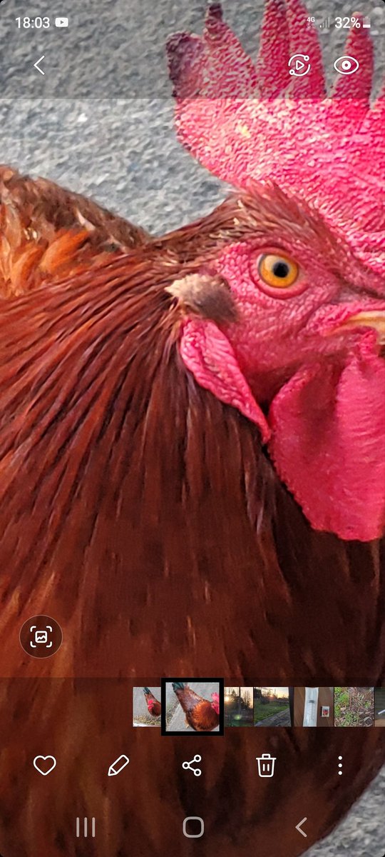 MAKPIA LEBAM #Research #TheSunMoves tweet media