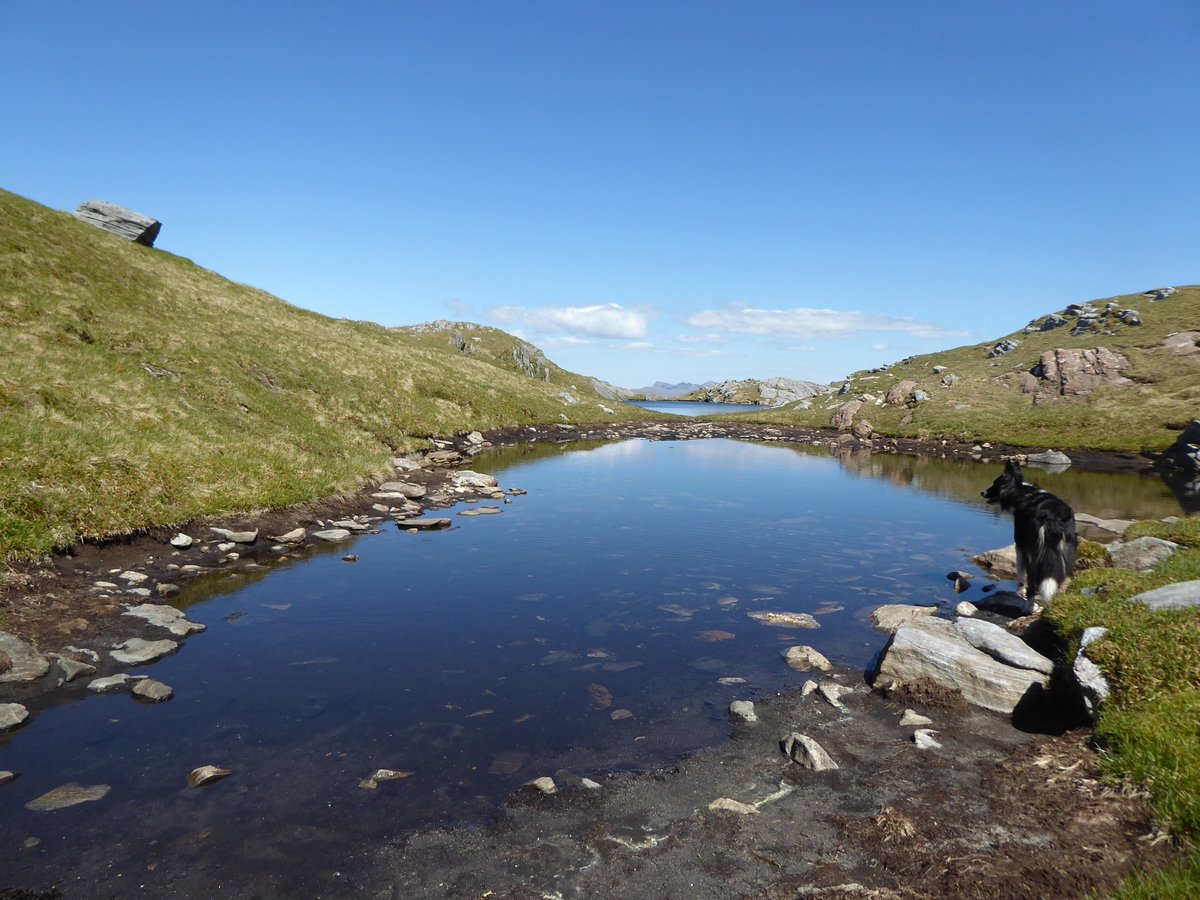 Robert Wight tweet media