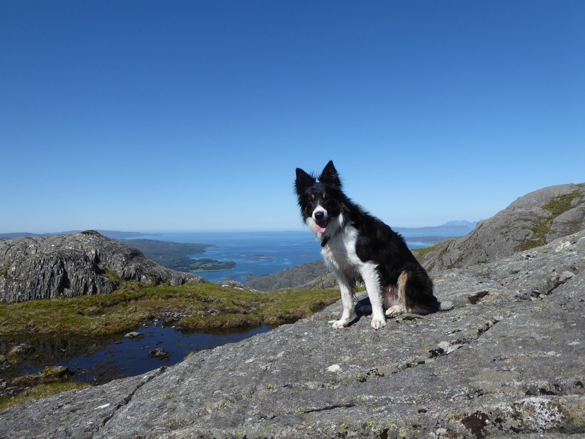 Robert Wight tweet media