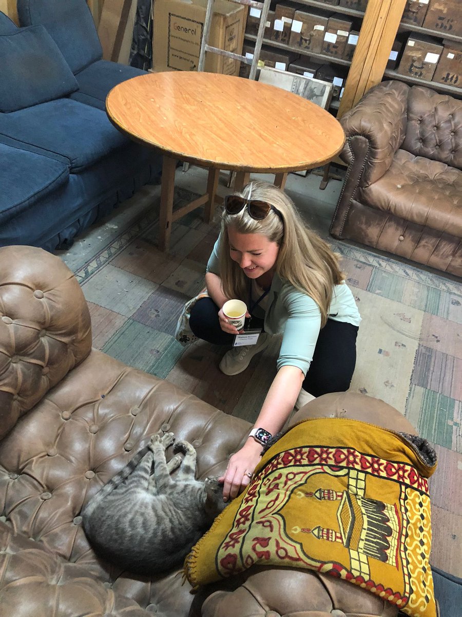 Steph_Boonstra's tweet photo. The archives of the @EgyptianMuseumC also have a very sweet #archivecat!
#catsofCairo #EASS https://t.co/pFweFvrtpB