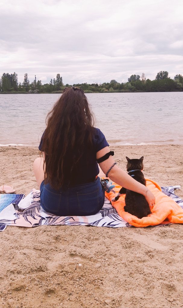 IsabelleVenier's tweet photo. Posée avec mon compagnon 🥰🐱 #Mehow #Jumper https://t.co/jS8H0xktoq