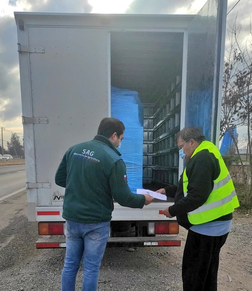 sagchile's tweet photo. Funcionarios de @sagchile #Rancagua realizaron control carretero en conjunto con @Carabdechile de la tenencia de carreteras #Gultro. Se fiscalizó el programa de #TrazabilidadAnimal, Ley de #Alcoholes y #Plaguicidas https://t.co/t0L2ybHJcI