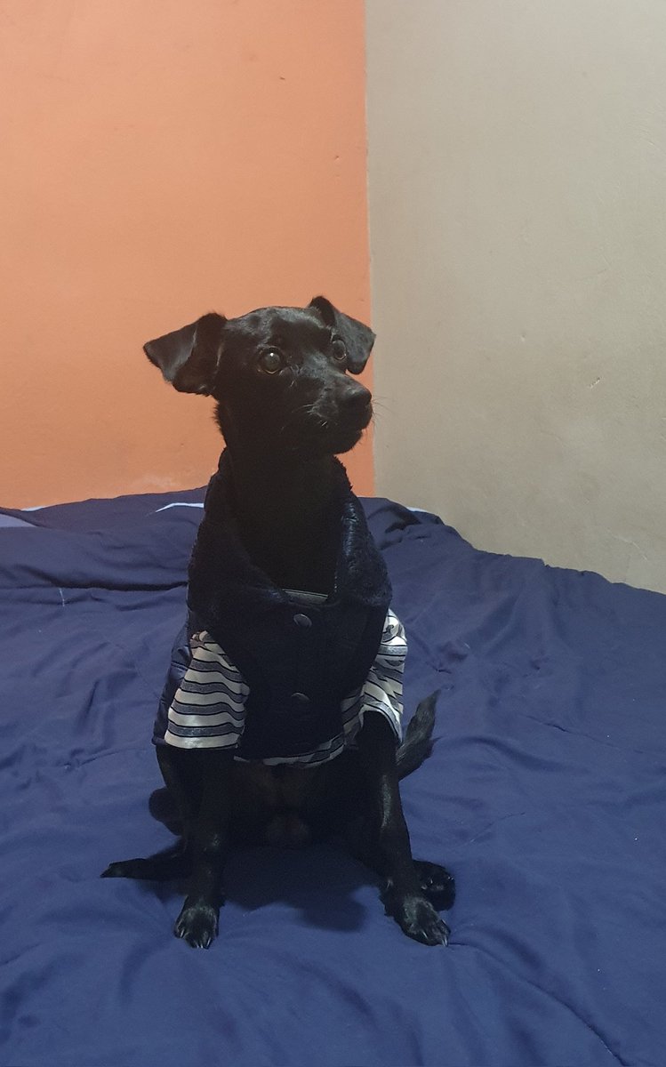 Ladrian10's tweet photo. @flacaguerrerog Hola @flacaguerrerog  el es mi negrito.🥰 https://t.co/VyKb9UqX5a
