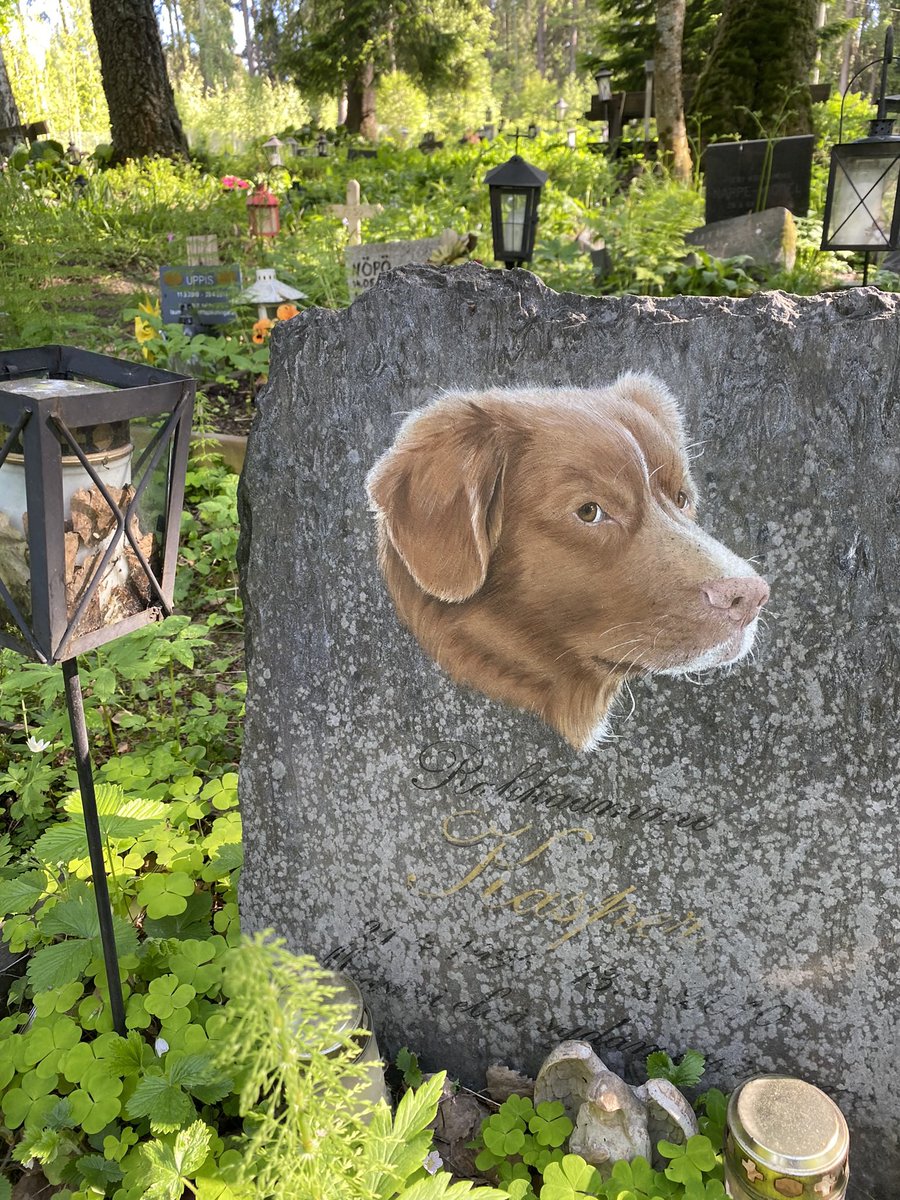 milenahuhta's tweet photo. logging in to share these animal portraits from the pet cemetery https://t.co/xHK9kOcrD3