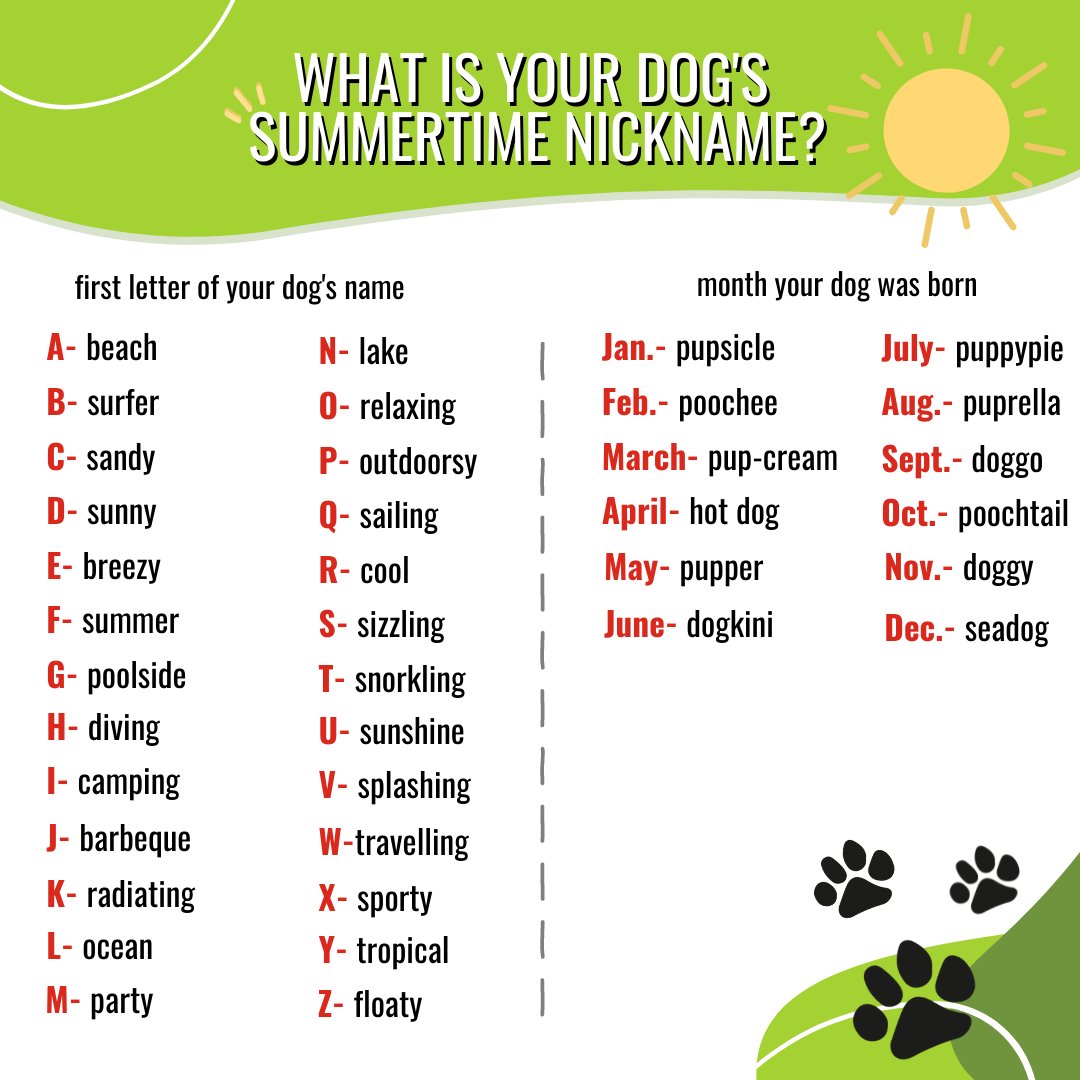 Whether it’s Sizzling Hot Dog 🌭 or Radiating Dogkini 👙, we want to know what your dog’s summertime nickname will be! 😂

#dogs #dog #summertime #sunny #sunshine #poollife #dogdays #jollypets #jollyball #jollyballislife #dogtoys #petlovers #dailydogs #nickname #party