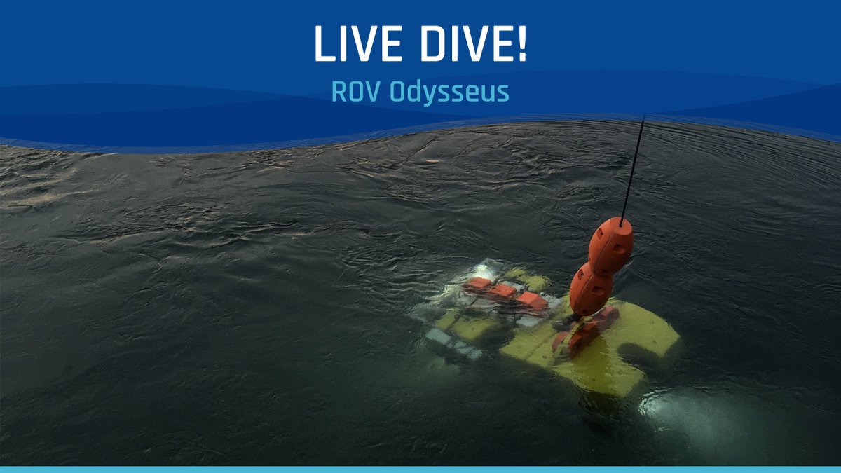 DIVE ALERT! For the final dive of the #ONCabyss expedition ROV Odysseus is diving to 395m at Barkley Upper Slope. We will recover instruments including VPS (Vertical Profiling System), deploy #EEW instruments  and do maintenance. #knowtheocean Watch live: bit.ly/ONCabyss2022