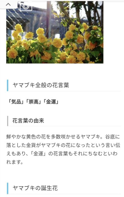 花言葉気品のtwitterイラスト検索結果 花言葉気品のtwitterイラスト検索結果