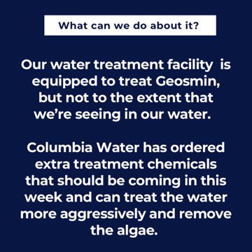 Dr. Aditi Bussells tweet media