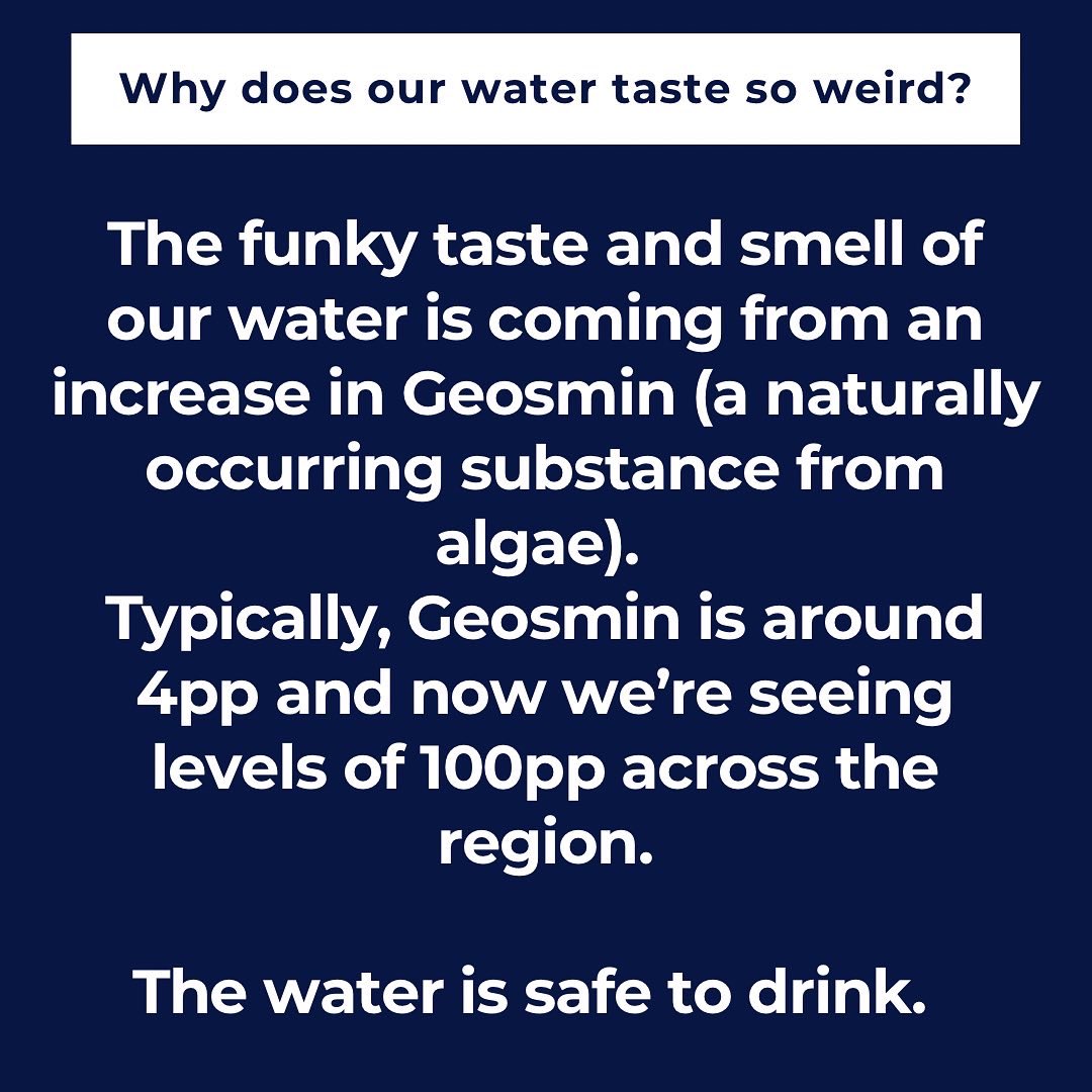 Dr. Aditi Bussells tweet media