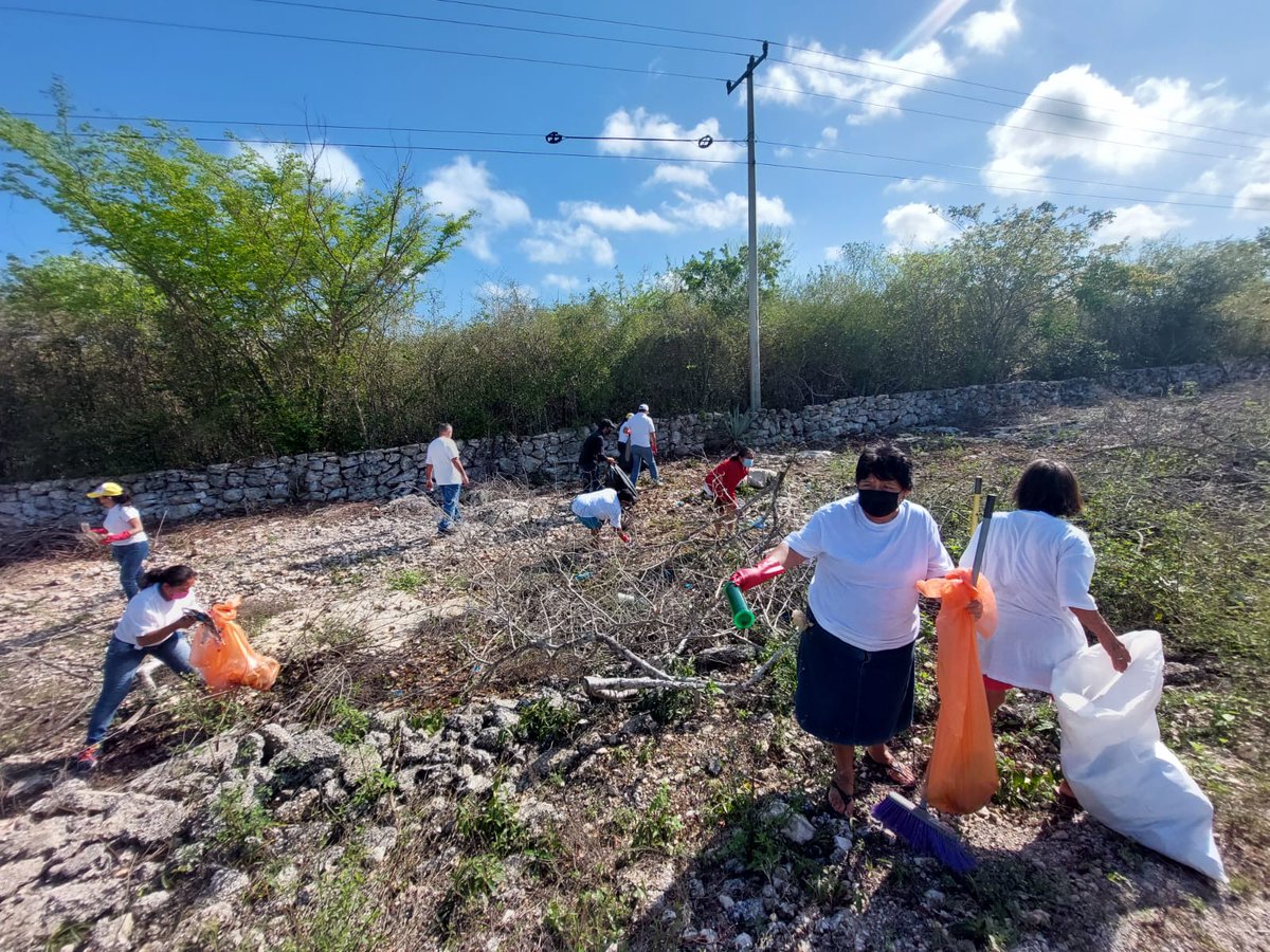 SETY Yucatán tweet media