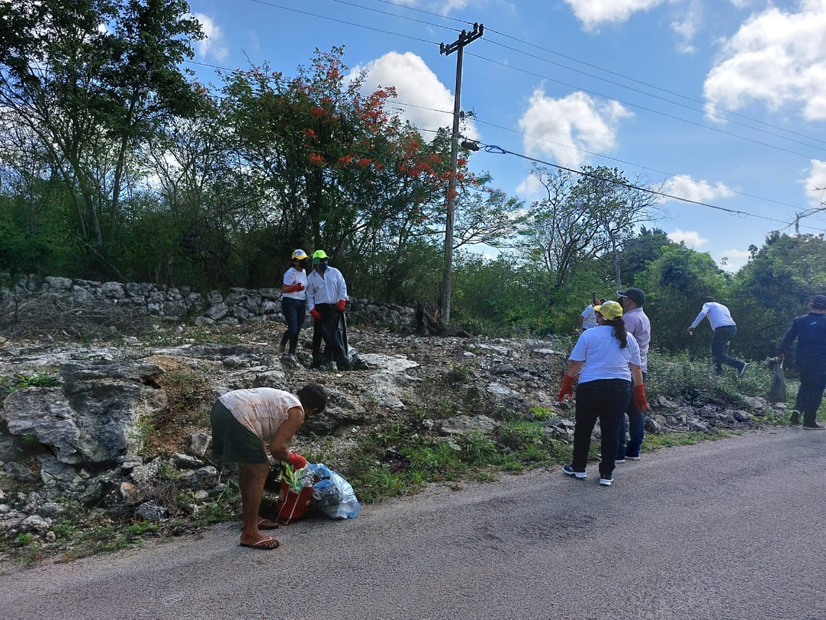 SETY Yucatán tweet media