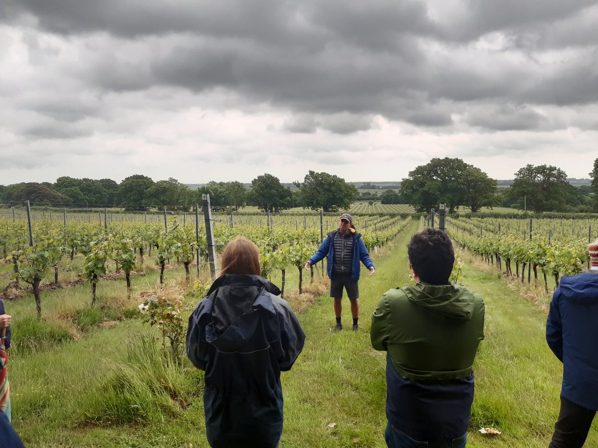 sesoil's tweet photo. After lunch the south east soils discussion group enjoyed a vineyard tour and wine tasting.

Thank you to Gusbourne for hosting today. https://t.co/dNqXi8Euew