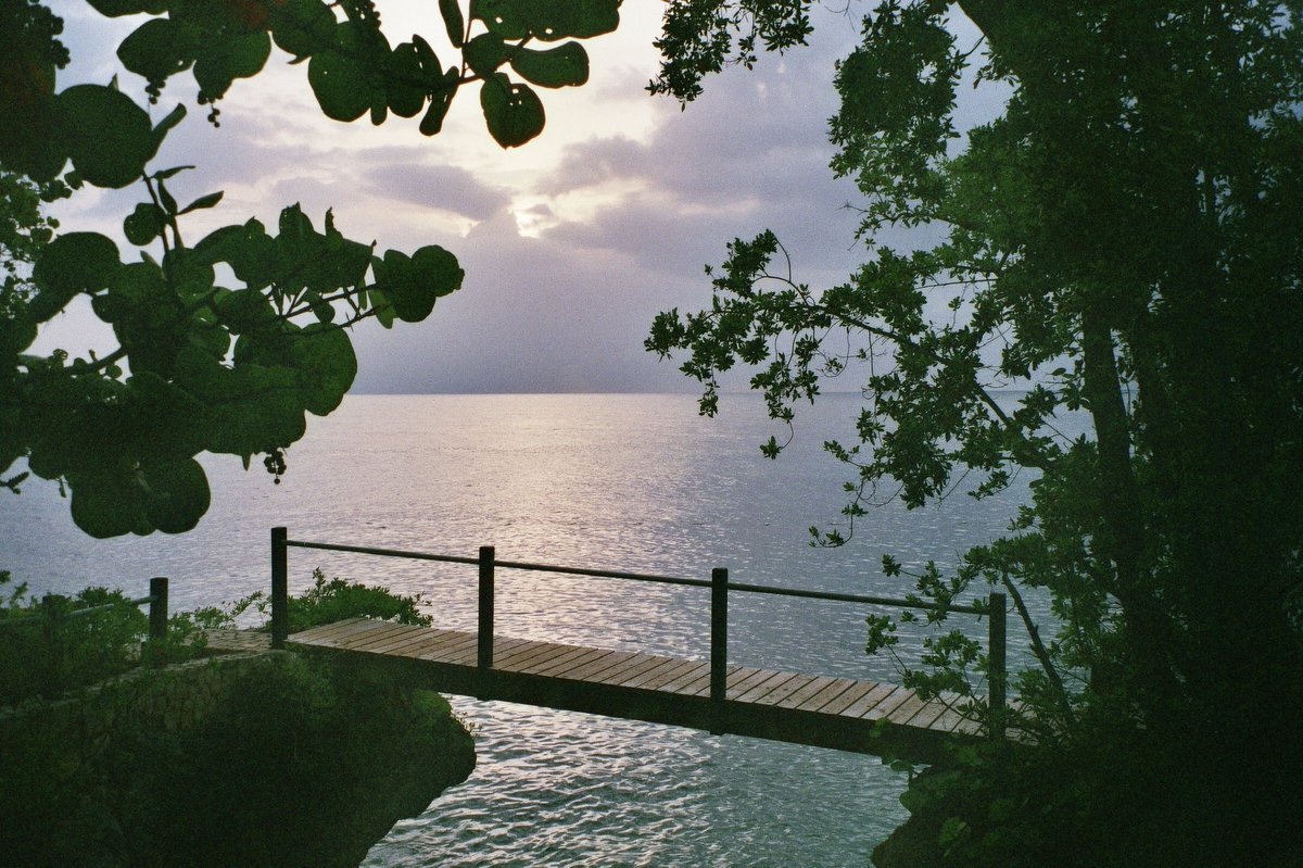 Film from Jamaica