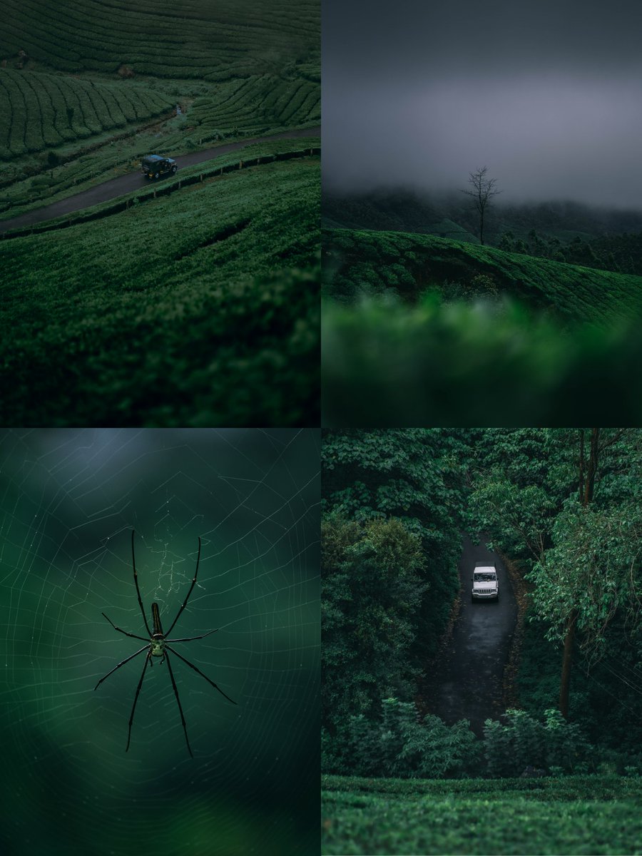 PranavSp_'s tweet photo. I'll forever be in love with lush greens.💚 https://t.co/X29xQkCZsq