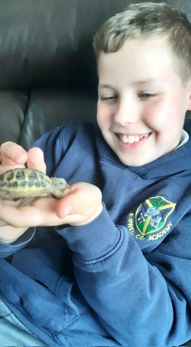 BellaWi78364415's tweet photo. @barwellacademy looks like Zac was happy to get home from school today to see his new pet Walt 💙 https://t.co/DxJQByZ2C9