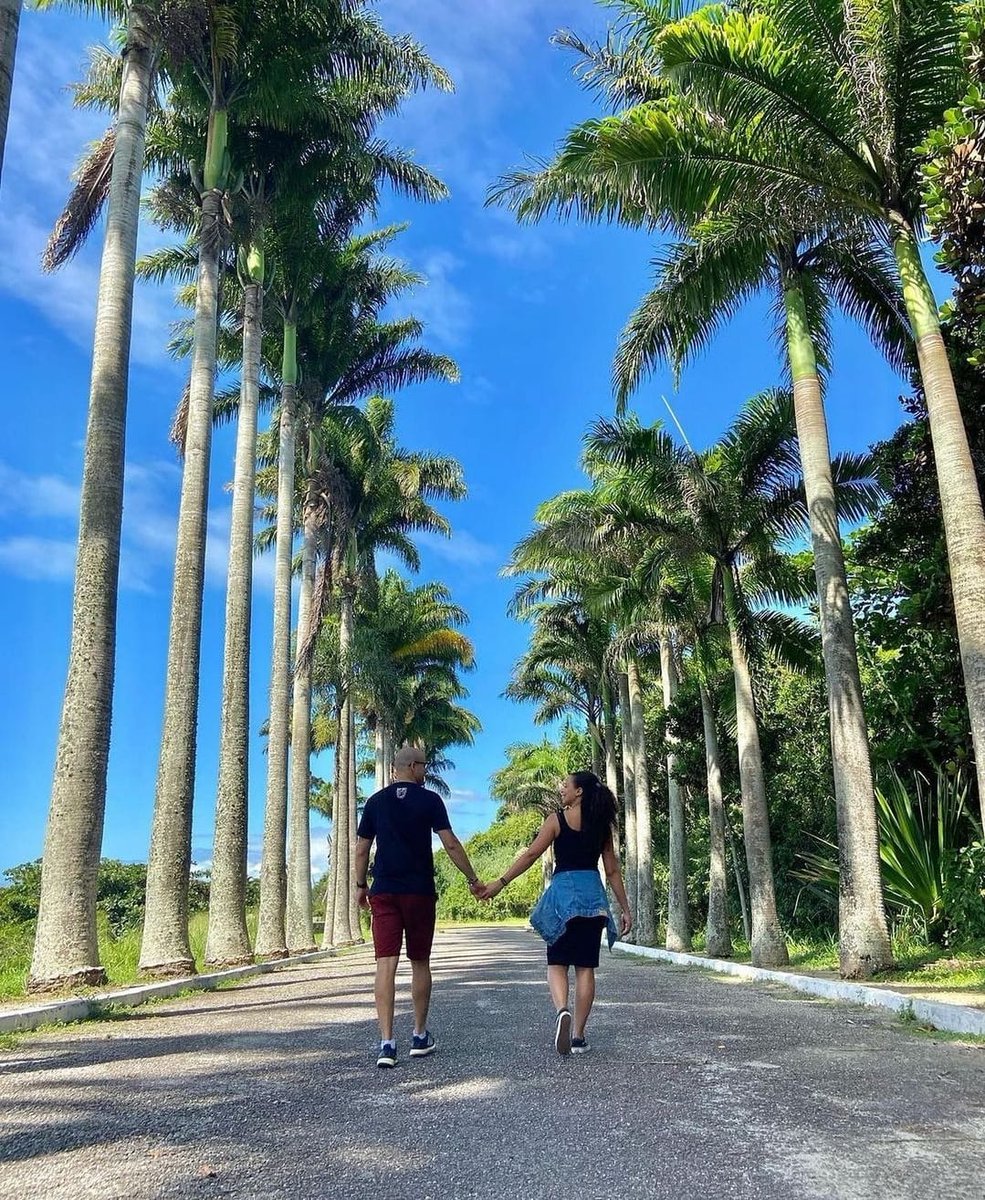 MacaeVisit's tweet photo. Vamos celebrar o amor!
 Feliz dia dos namorados! 🥰

📸 lllucasazevedo

#diadosnamorados #visitmacae #vempramacae #euamomacae #turismorj #turismomacaerj #diadoamor #celebraroamor #fortemarechalhermes https://t.co/RwWZOLVMYg
