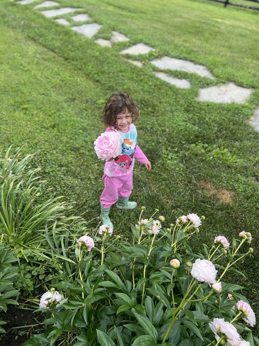 She gets me a flower every morning. I’m running out of glasses to put these in.