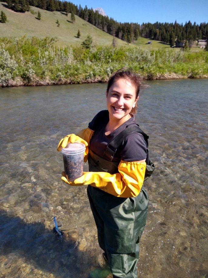 forWaterNetwork's tweet photo. Happy #RiversToOcean week
The #forWaterNetwork is studying the impact forest harvesting and landscape disturbance (wildfire or flood) can have on #drinkingwater quality.
Rafaela Maltauro (@rafa_maltauro) samples fine sediment in the Crowsnest River to gather data https://t.co/d5wVbLZtp1