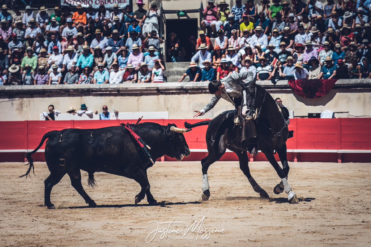 #Nîmes 🇫🇷 1️⃣ | Dos orejas para <a href="/LeaVicens/">Léa Vicens</a> en el primero. Ovacionado en arrastre el toro de <a href="/FermnBohorquez/">Fermín Bohórquez</a>.

📸 <a href="/Justine_Messina/">Justine Messina</a>