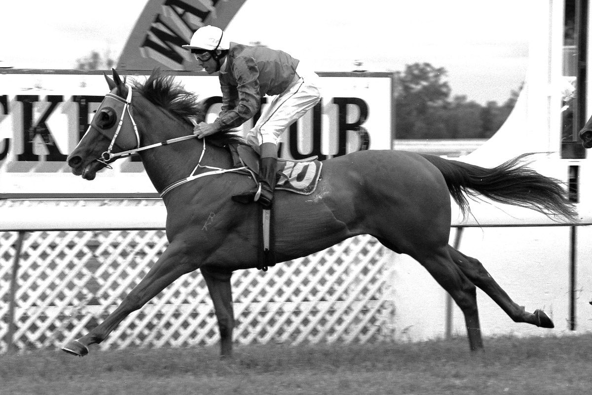NewhavenPark's tweet photo. It is with great sorrow that we announce the passing of 2YO Triple Crown winner Burst. She passed peacefully on Sunday morning. We would like to thank everyone who cared for her, especially Vanessa Heep who attended to her every need since her return to Newhaven Park. https://t.co/QRL6iouUe7