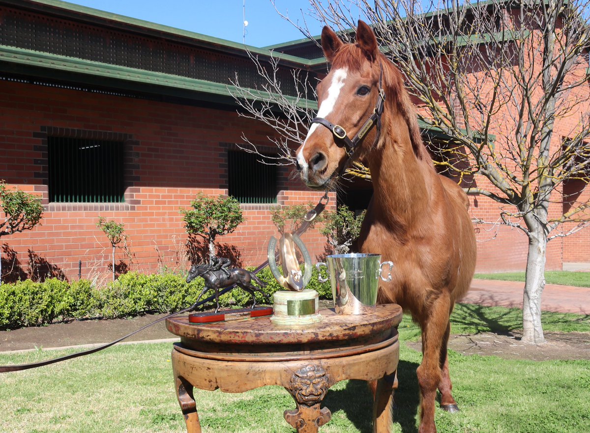 NewhavenPark's tweet photo. It is with great sorrow that we announce the passing of 2YO Triple Crown winner Burst. She passed peacefully on Sunday morning. We would like to thank everyone who cared for her, especially Vanessa Heep who attended to her every need since her return to Newhaven Park. https://t.co/QRL6iouUe7