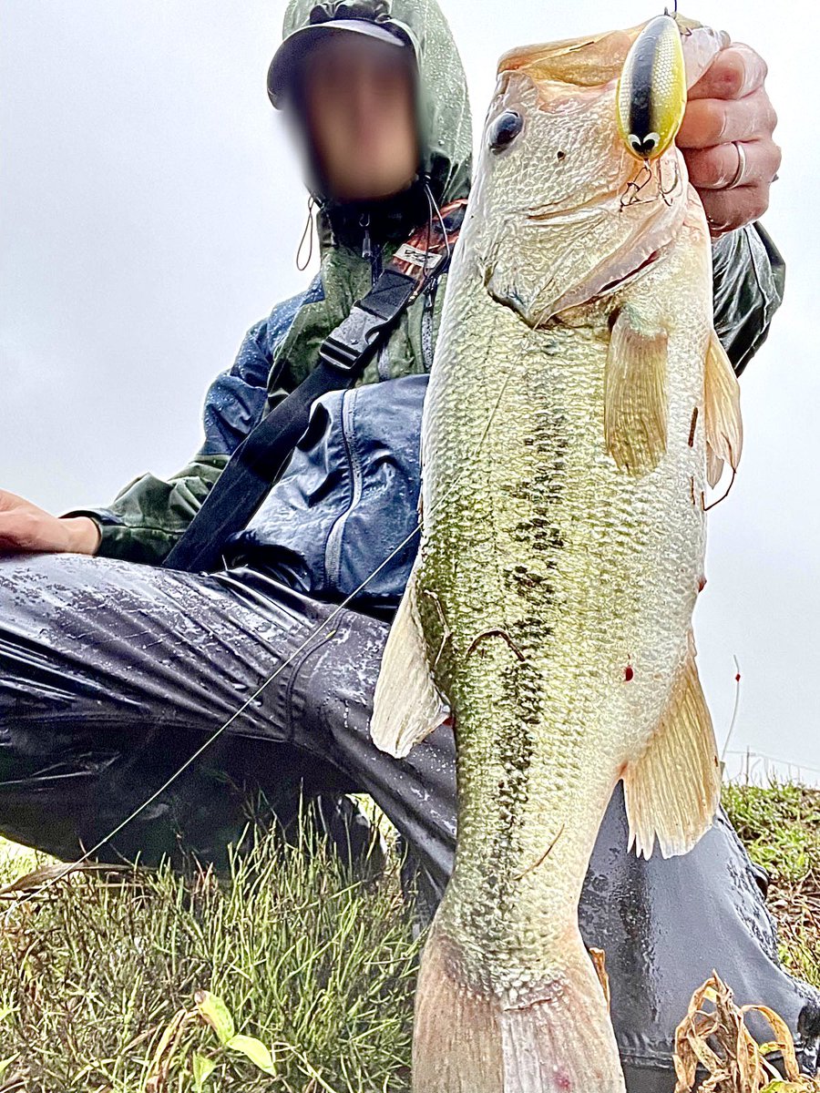 cozybassfishing's tweet photo. 47/1600g
荒れてしまってボリュームがほしくてMBXに替えて🔥

#monkeybrainbaits #MBX #モンキーブレインベイツ　#猿の脳　#crankbait  #バス釣り https://t.co/dpyF46yqrw