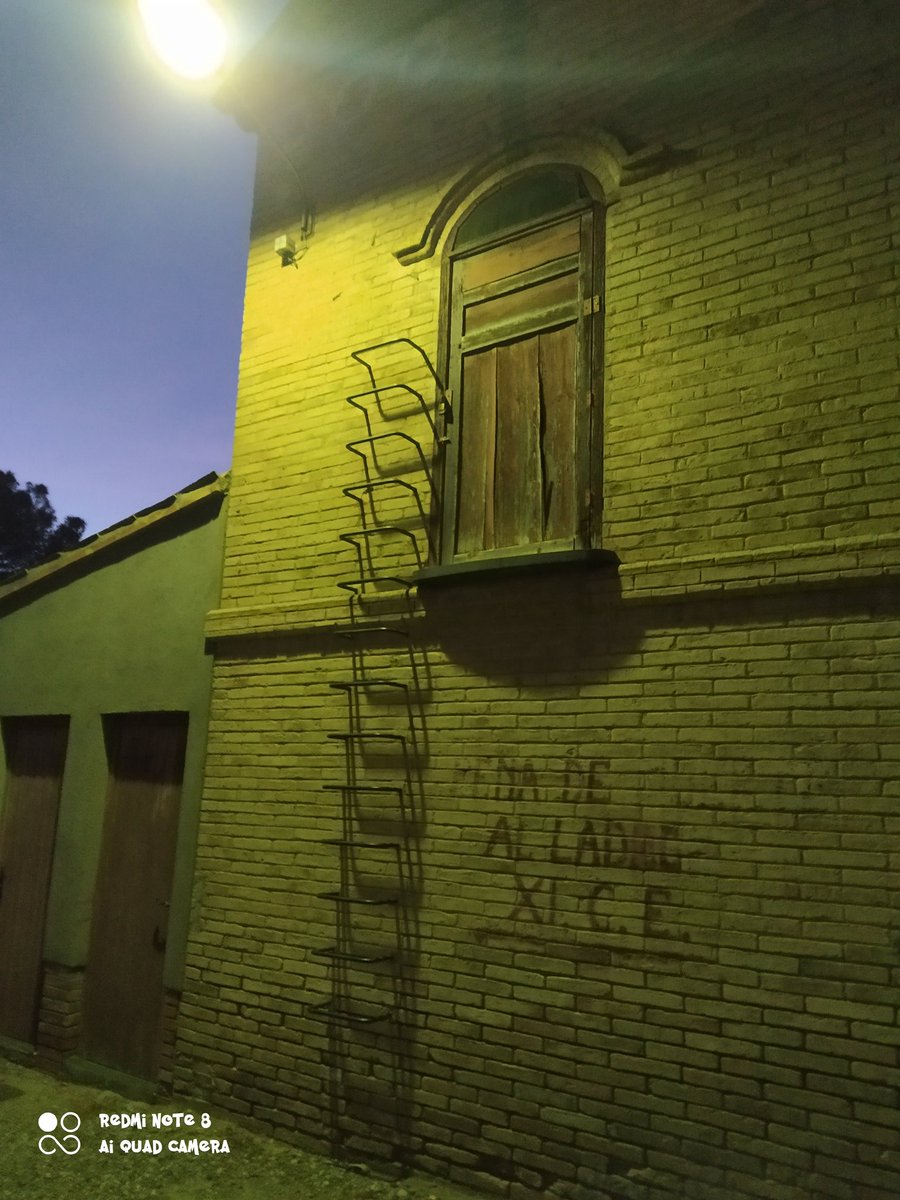 Cσgσllα tweet media