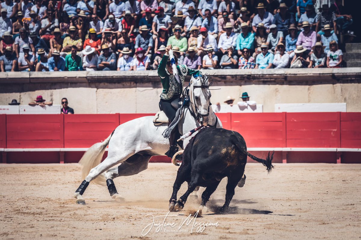 #Nîmes 🇫🇷 2️⃣ | Saluda ovación desde el tercio @guillerhermoso. Pincha su faena al segundo de <a href="/FermnBohorquez/">Fermín Bohórquez</a>, ovacionado en arrastre.

📸 <a href="/Justine_Messina/">Justine Messina</a>