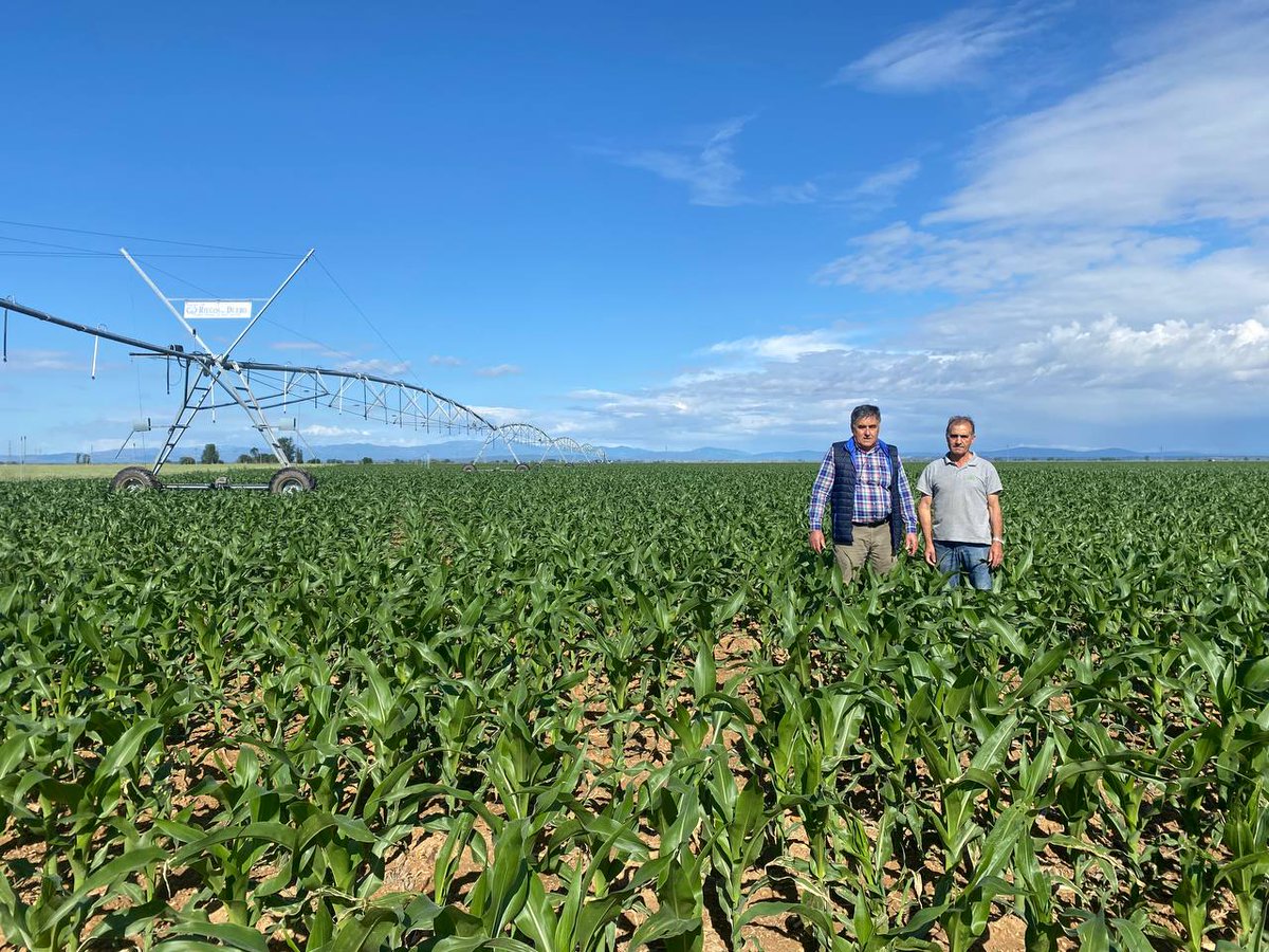 Prodelesa's tweet photo. ¿Qué tal el fin de semana? 😎🍹
Nosotros hemos visitado las fincas de nuestro buen cliente Eulogio Tostón. ¿Habéis visto qué buena pinta tienen sus maíces? 🤩
Semilla #Pioneer + fertilizantes @YaraIberian + gran trabajo y experiencia = excelencia 👌
#prodelesa  #amigos @CortevaES https://t.co/6raONntRv0