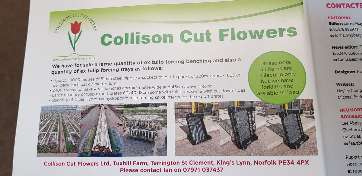 Collison cut flowers tweet media